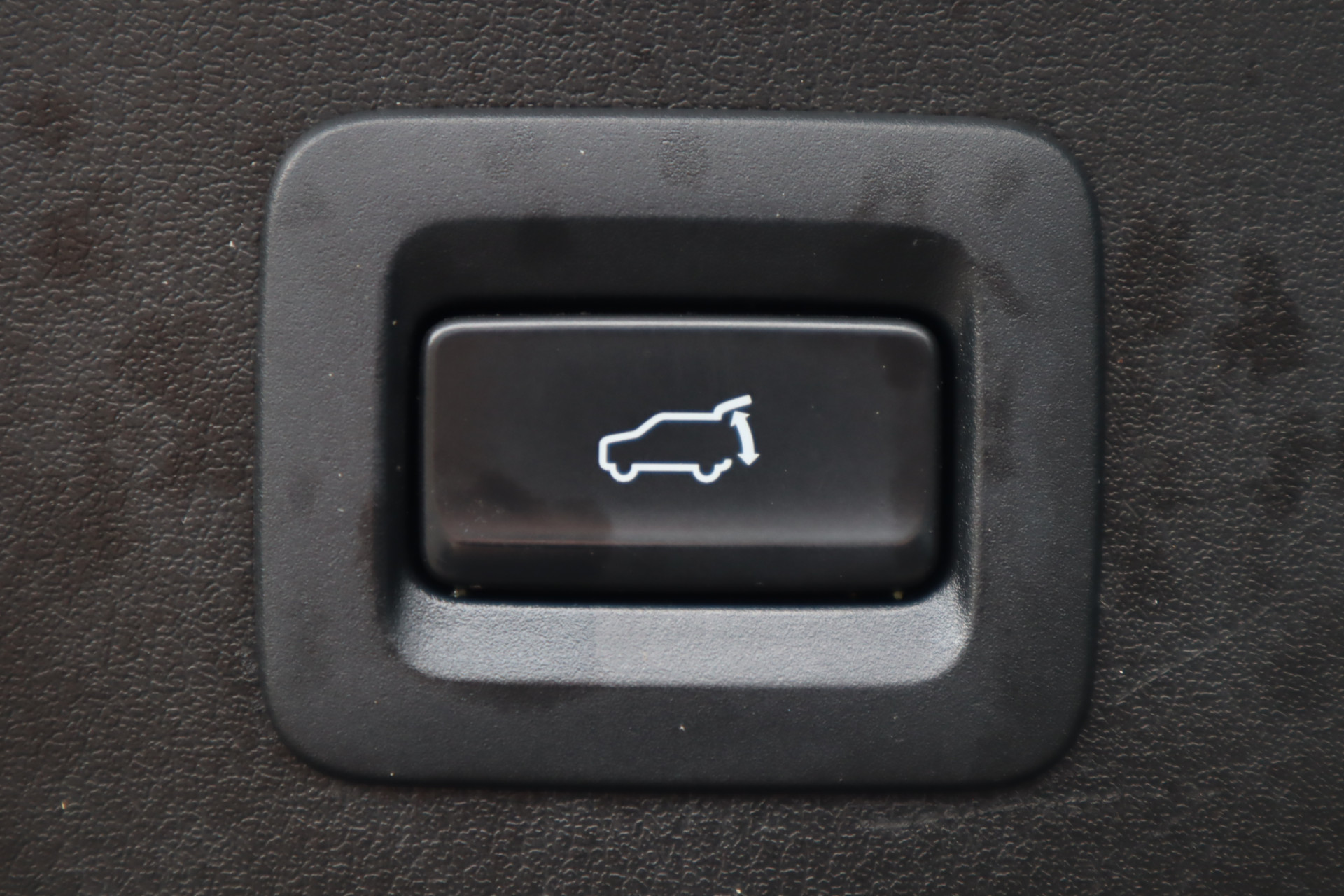 43217240-26.jpg